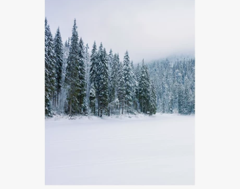新款雪山森林冬天室内雪景拍照背景布小红书室...