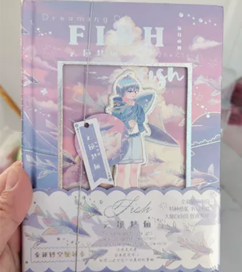 镂空彩页精装本笔记本记事本 全新未开封，盘...