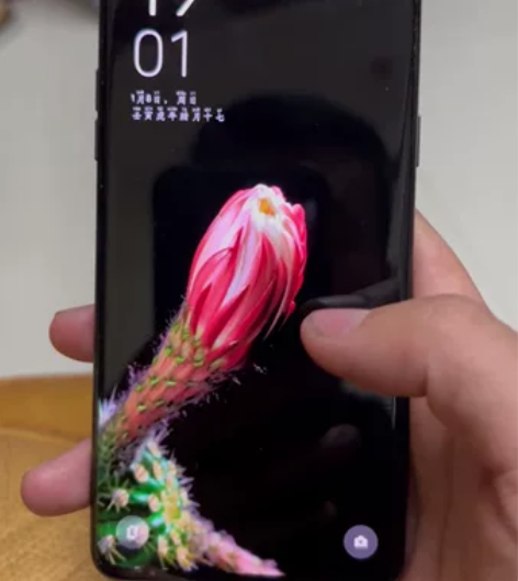 oppofindx5pro256g,个人自...