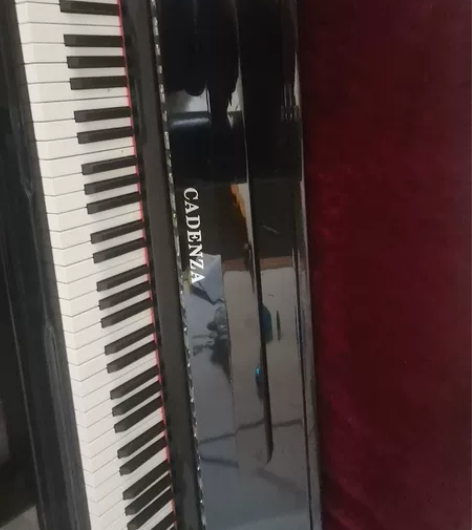 凯丹撒钢琴，钢琴社买的新钢琴，基础款（适合...