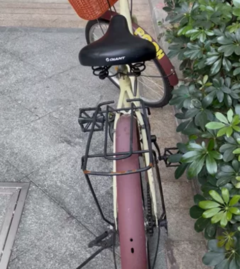 自行车出售 仅限自提自提点:华南碧桂园·岭...