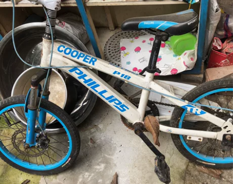 菲利普 儿童自行车 7成新 感兴趣的话点“...