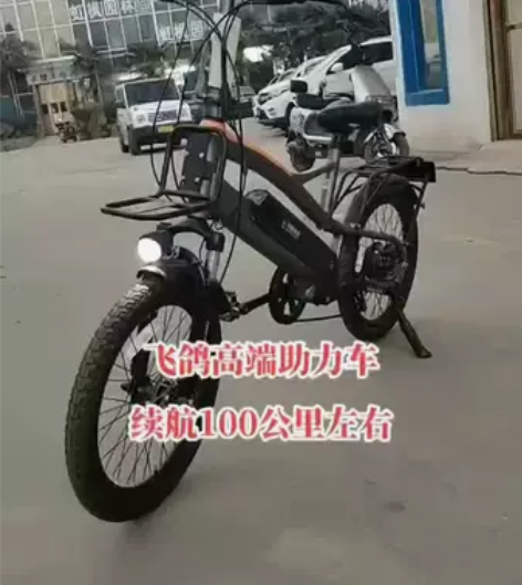 全新飞鸽高端电动助力车,骑行运动两不误,一...