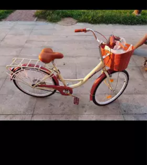 飞鸽自行车，骑了没多久，后来买了电动车，不...