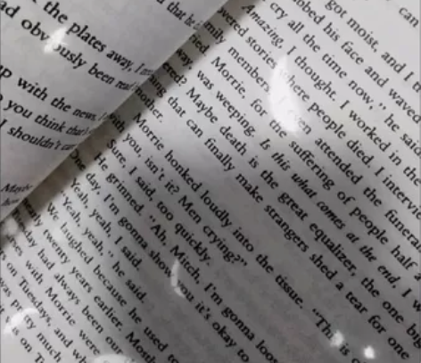 相约星期二,全新。余秋雨力荐,喜欢读英文书...