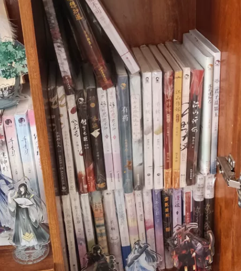 出书 一律正版 小说（言情 校园文 原耽 ...