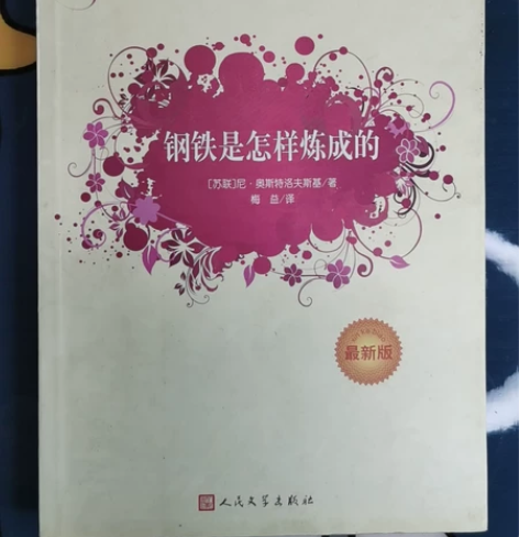 书名：钢铁是怎样练成的 出版社：人民文学出...