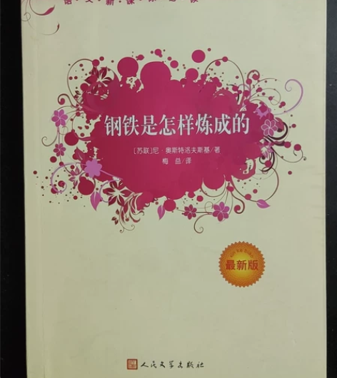 钢铁是怎样炼成的 99新几乎全新￥12