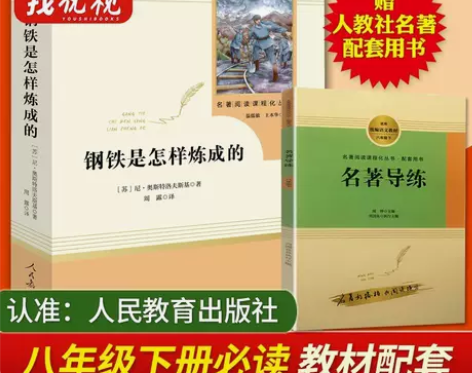 钢铁是怎样炼成的(人民教育出版社)(8年级...