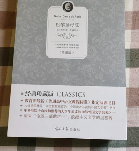 巴黎圣母院！精装！就一本，全新，绝对真，学...