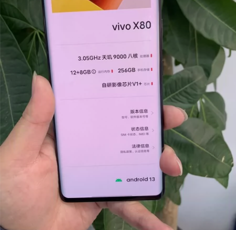 vivo X80 12+8+256G黑色天...