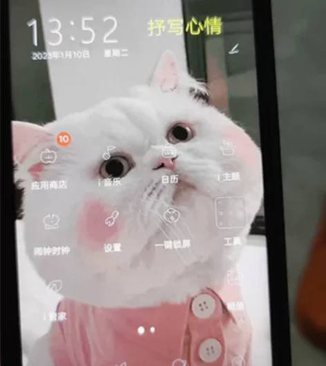 vivoy55 处理器高通骁龙八核正常使用...