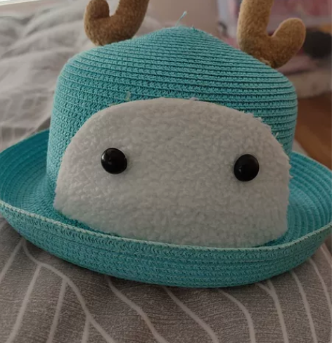 夏季草帽，青岛旅游的时候海边买的，十岁以上...