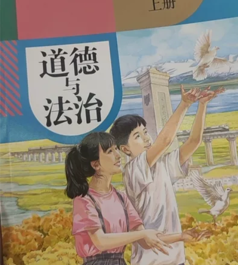 初中道德与法治 全套20元一本如图不包邮几...