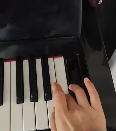 自用钢琴，音色手感都很好，具体可看另两个动...