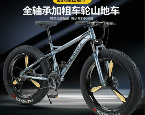 凤凰雪地车沙滩车山地自行车4.0超大宽轮胎...