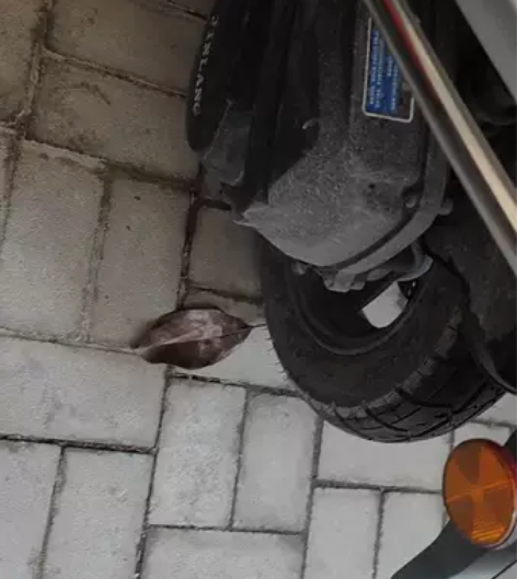 比亚伦摩托，全车九成新，手续齐全可上牌，表...