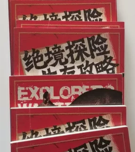 王芳老师推荐正版包邮 绝境探险生存攻略(共...