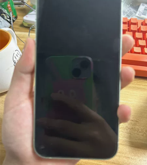 苹果12 无拆无修 买了14pm便宜出 感...