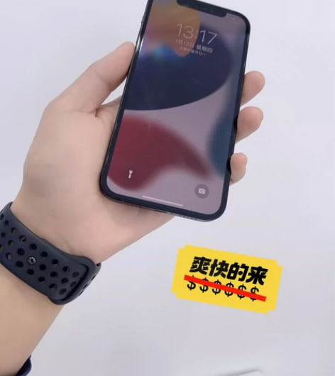 苹果12 256G 电池80 后置镜头小掉...