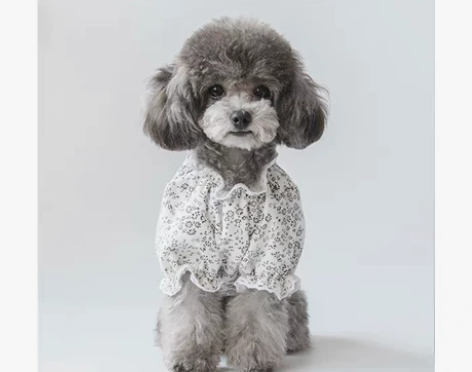 新品春夏防晒公主纯棉宠物衣服比熊贵宾泰迪马...