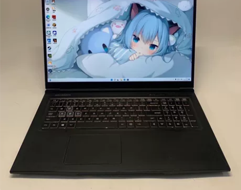 95新MECHREVO/机械革命 蛟龙  ...