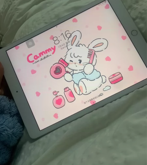 自用ipad2019，ipad7，128g...