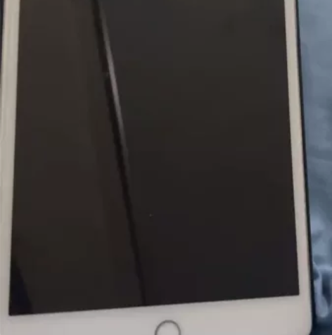 Apple/苹果 iPad mini5 2...