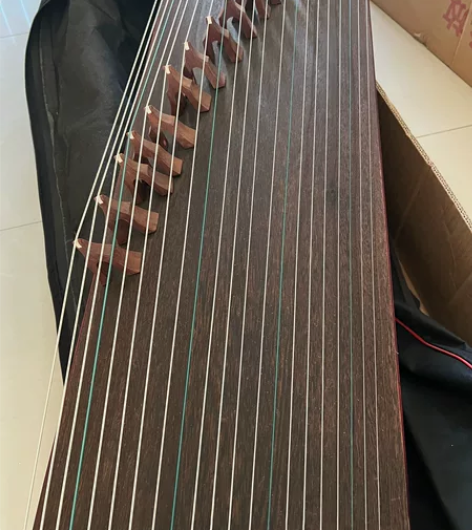 九层新古筝,孩子有一阵感兴趣,给报了兴趣班...