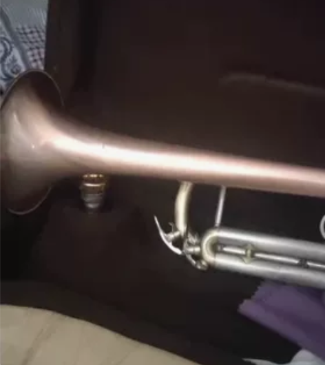 处理一只小号 感兴趣的话点“我想要”和我私...