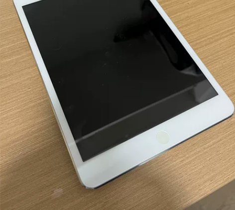 ipad mini 一代16g 箱说在，充...