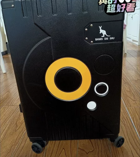 静音万向轮密码箱袋鼠拉杆箱行李密码箱26寸...