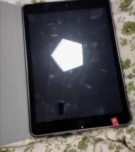 Apple/苹果 iPad 2019 款 ...