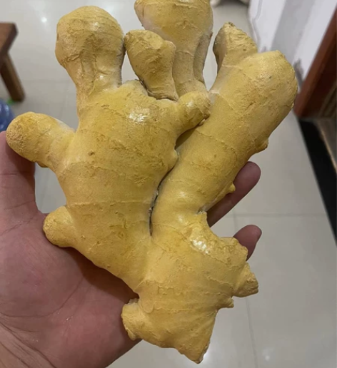 急售，朋友送的石头姜摆件，应该是寿山石的，...