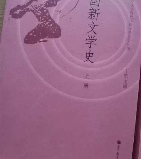 中国新文学史上下册 丁帆主编   基本全新...