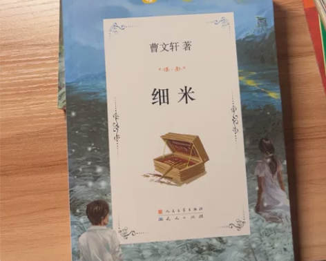 新华书店正版 根鸟曹文轩文集 曹文轩 外国...