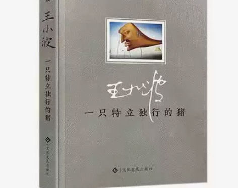 精装一只特立独行的猪王小波经典代表作 王小...