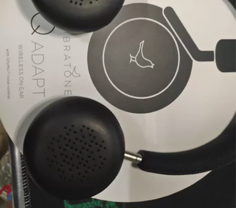小鸟LIBRATONE Q adapt蓝牙...