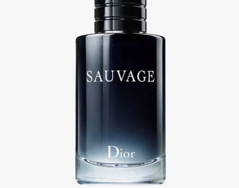 Dior/迪奥旷野男士淡香水清新持久木质香...