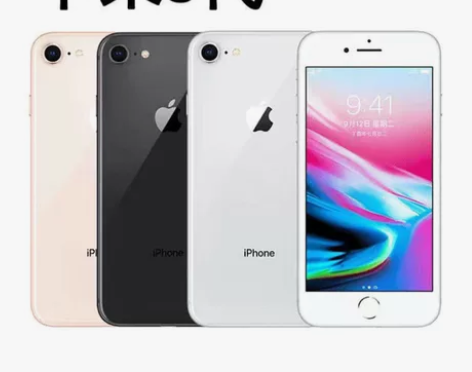 苹果8 插卡版，有指纹有前后拍照64GB轻...