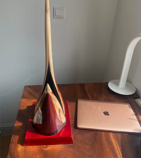 马林鱼嘴装饰品，标本。也叫旗鱼Marlin...