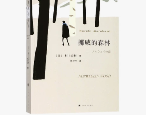 书名：挪威的森林 作者：村上春树 新旧程度...