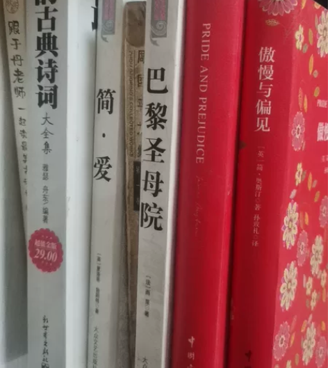 傲慢与偏见等书，有喜欢的拿走 感兴趣的话点...