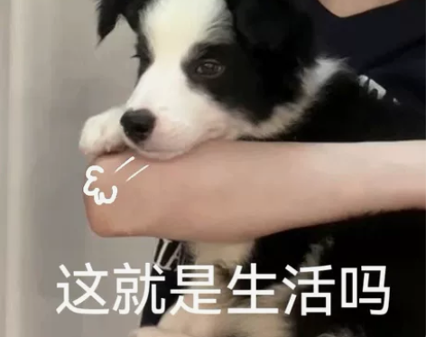 Apple/苹果 iPad Air4 20...