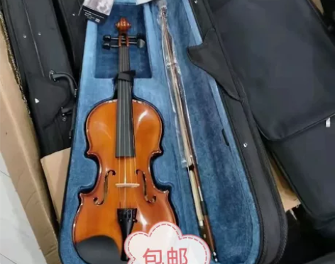 1200元买的小提琴,全新未使用,现低价出...