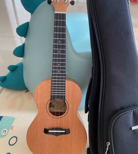 拼单芬虎尤克里里入门课、进阶课！！！！ 芬...