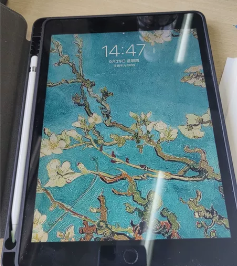 ipad 2020  充电次数不过120 ...
