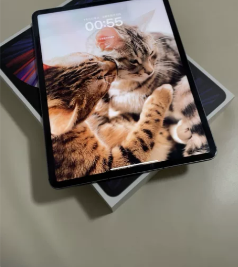 M1在保iPad Pro12.9寸wifi...