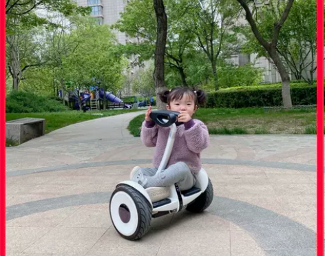 小米平衡车 新款九号儿童双轮平行车plus...