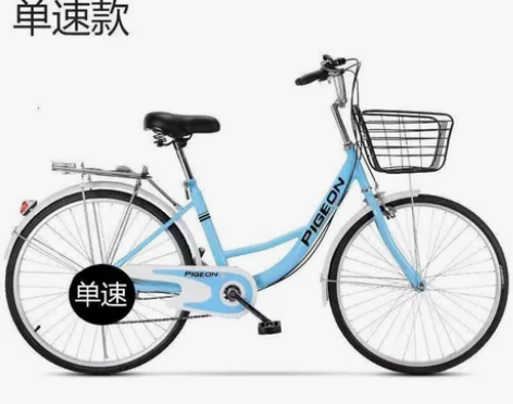 飞鸽自行车 2022年6月购入 买来只骑了...